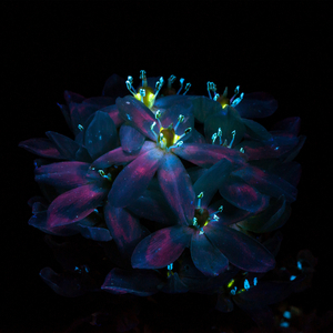 furry18 ❤♂videos
